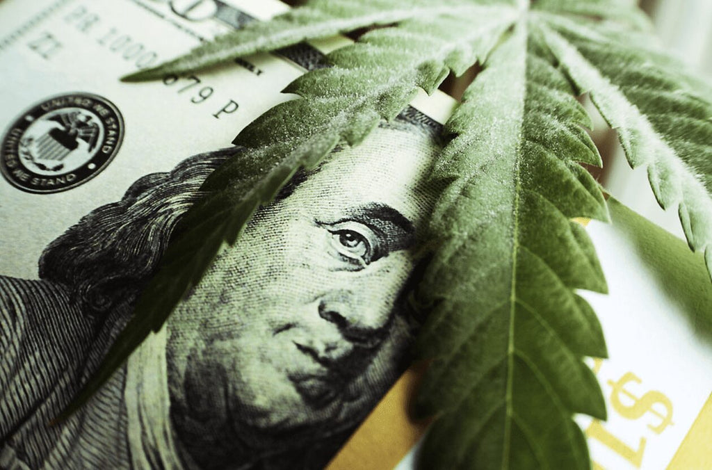 ¿Por qué invertir en marihuana?
